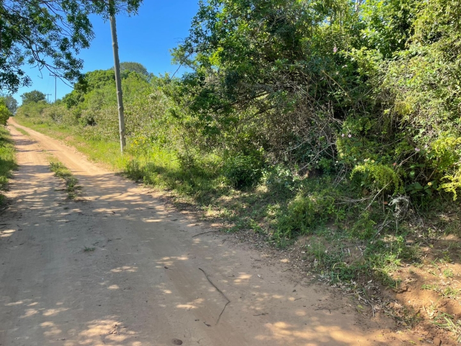 0 Bedroom Property for Sale in Bathurst Eastern Cape